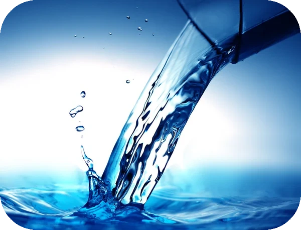 Water is essential for hydration, digestion, circulation, and body temperature regulation. It carries nutrients, removes waste, lubricates joints, and supports healthy skin. Drinking
